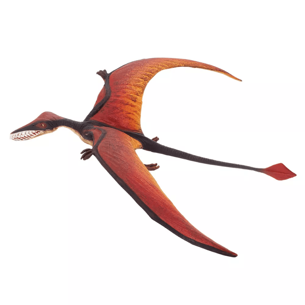 Safari Ltd. Safari Ltd. Ramphorhynchus