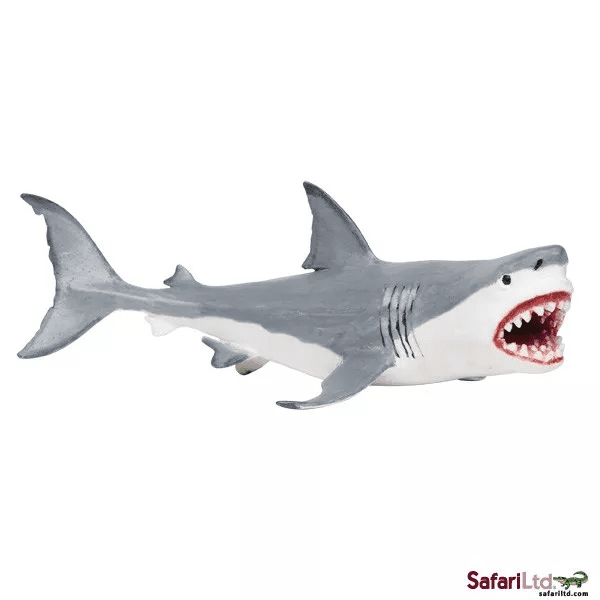 Safari Ltd. Safari Ltd. Megalodon