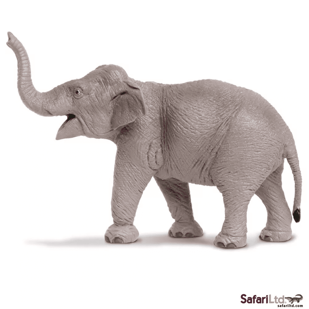 Safari Ltd. Safari Ltd. Slon indický