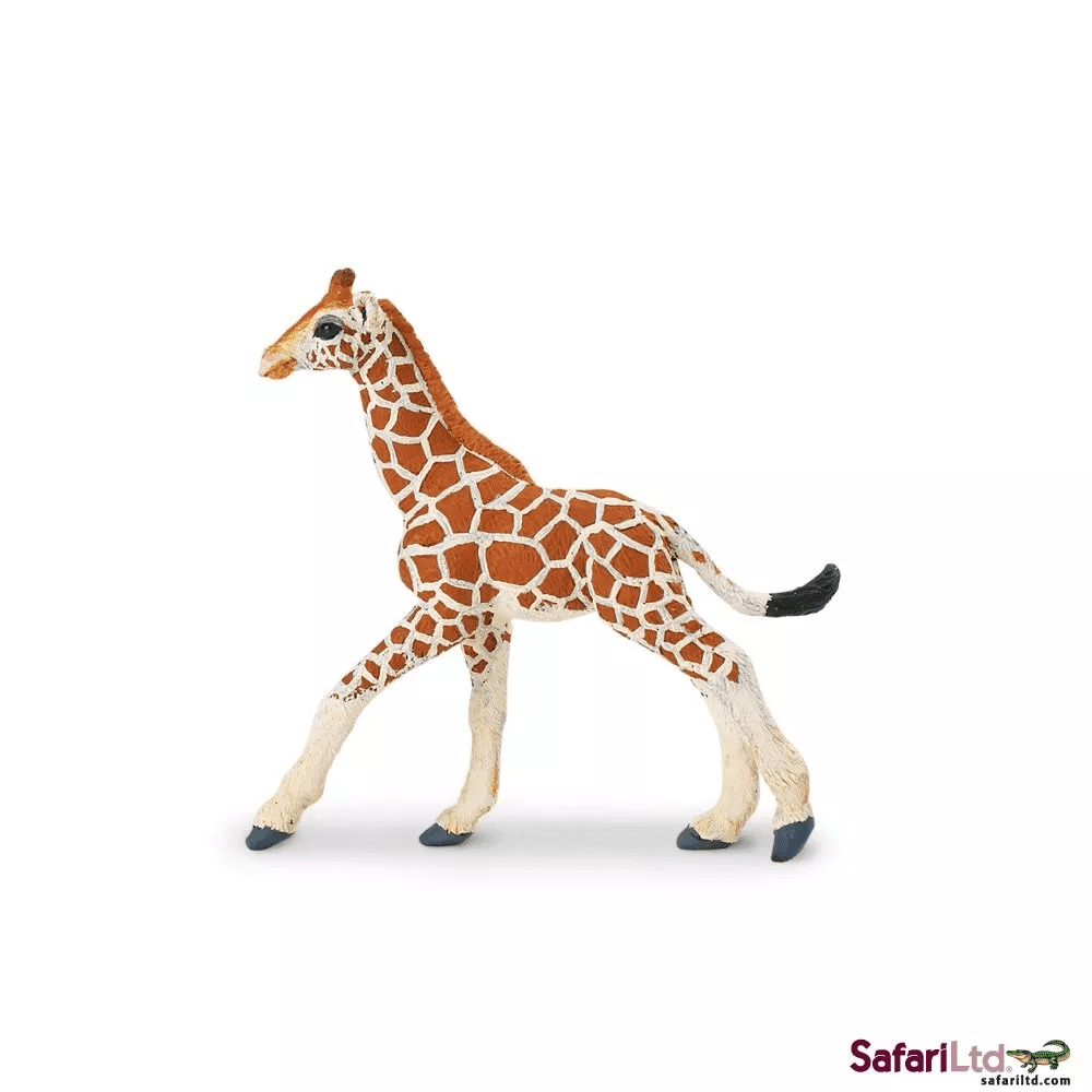 Safari Ltd. Safari Ltd. Mládě žirafy síťované