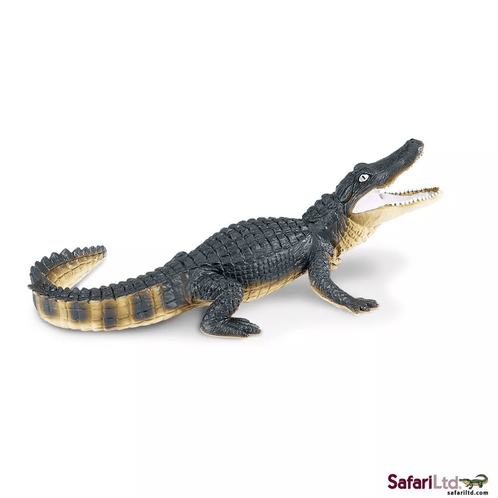 Safari Ltd. Safari Ltd. Aligátor
