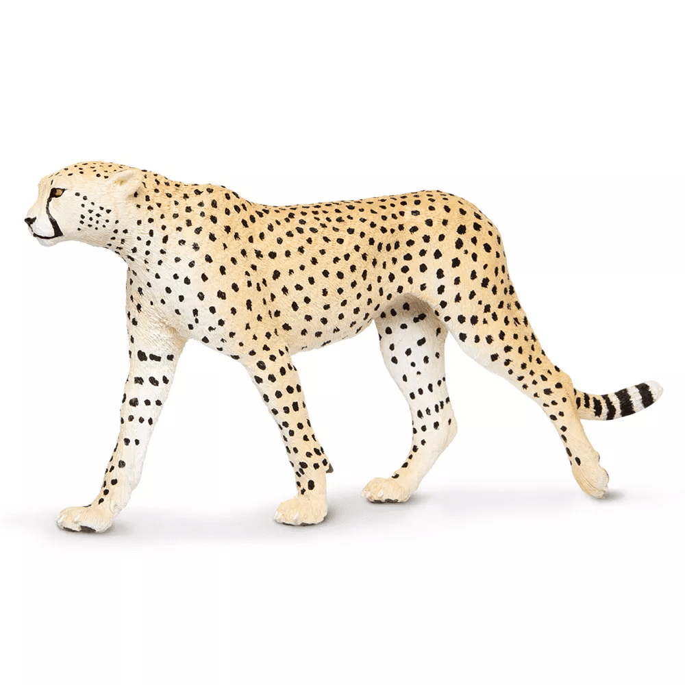 Safari Ltd. Safari Ltd. Gepard