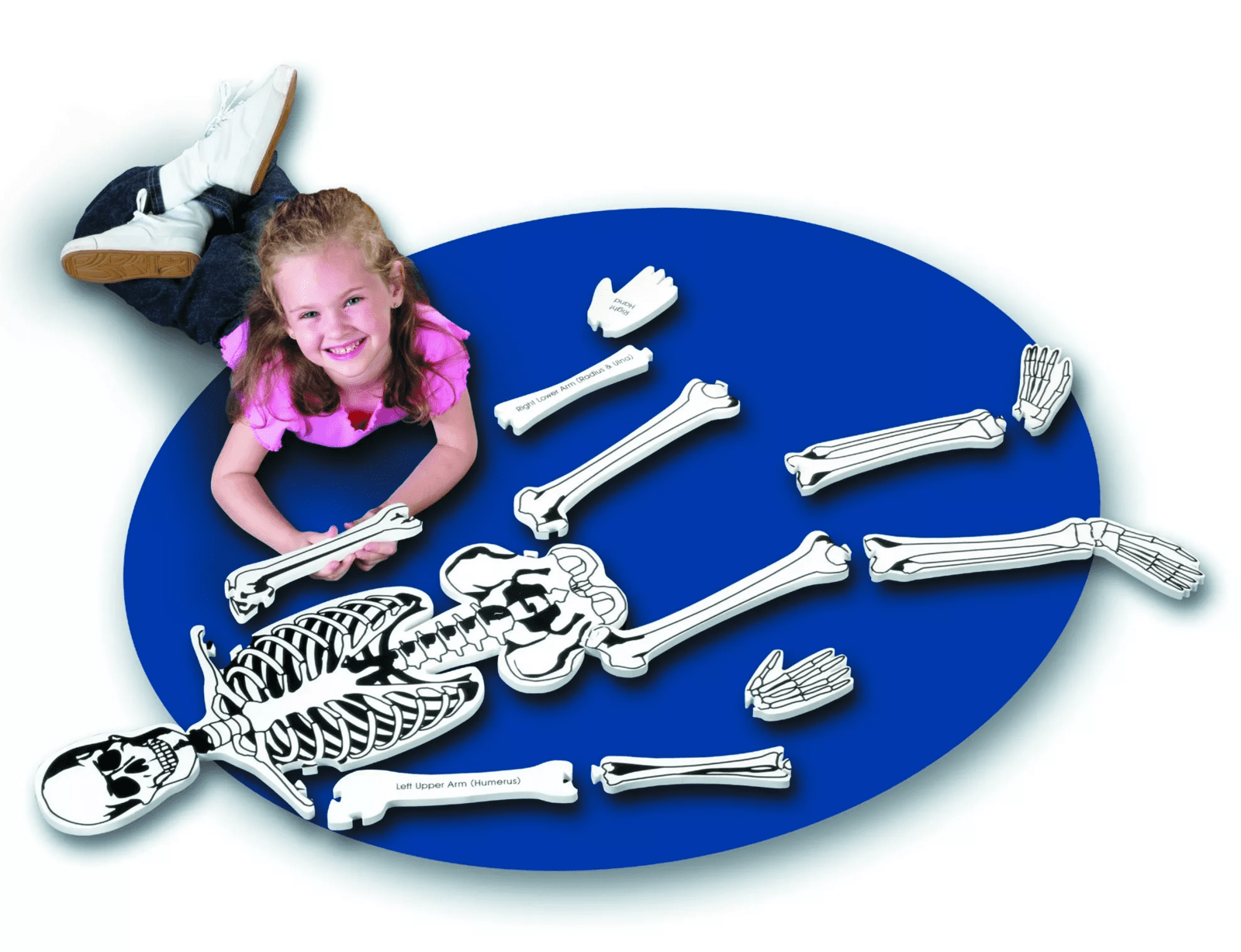 Learning Resources Learning Resources Pěnová puzzle kostra