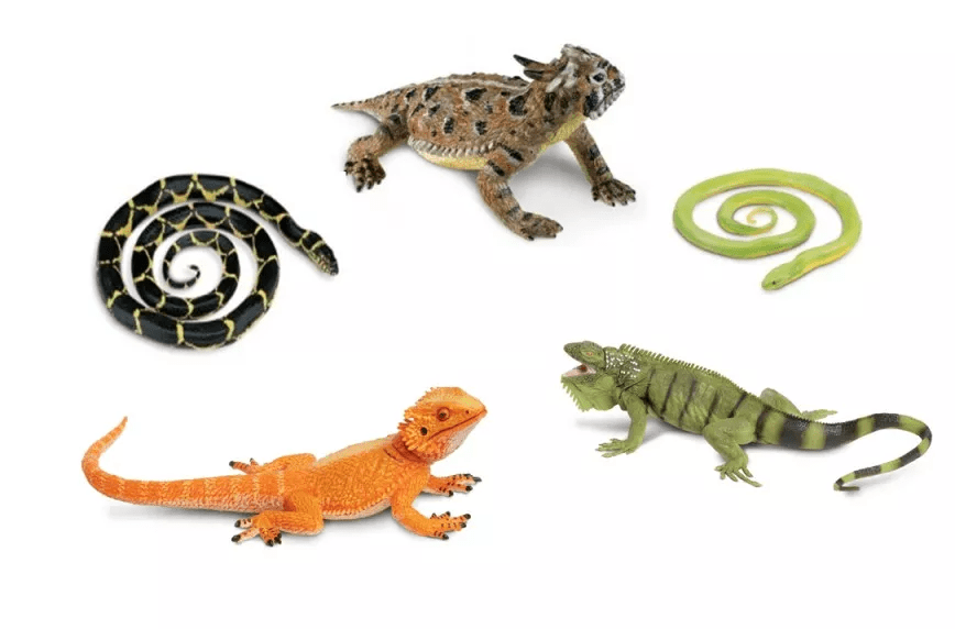 Safari Ltd. Safari Ltd. Hadi a ještěři (5 ks)