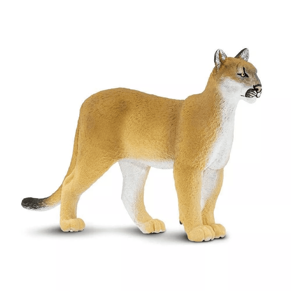 Safari Ltd. Safari Ltd. Figurka - Puma floridská