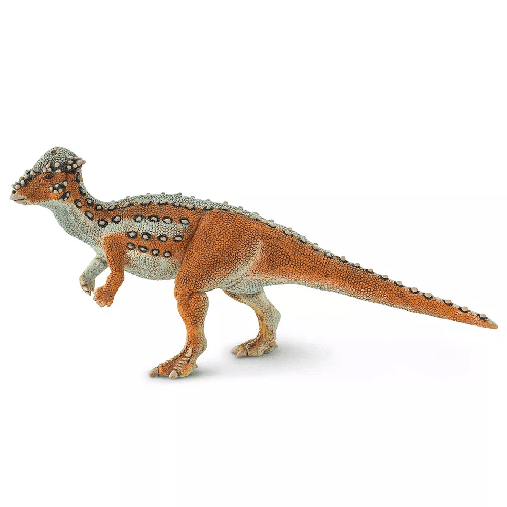 Safari Ltd. Safari Ltd. Figurka - Pachycephalosaurus