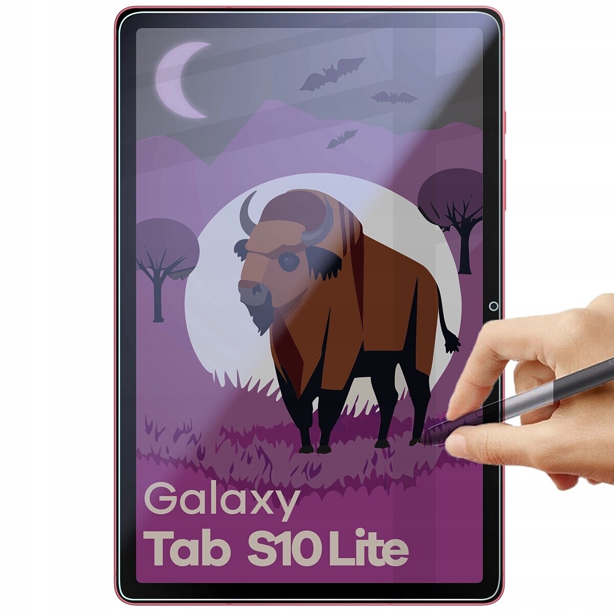 Hybridní soukromí Sklo pro Galaxy Tab S10 Lite, matné sklo Bizon