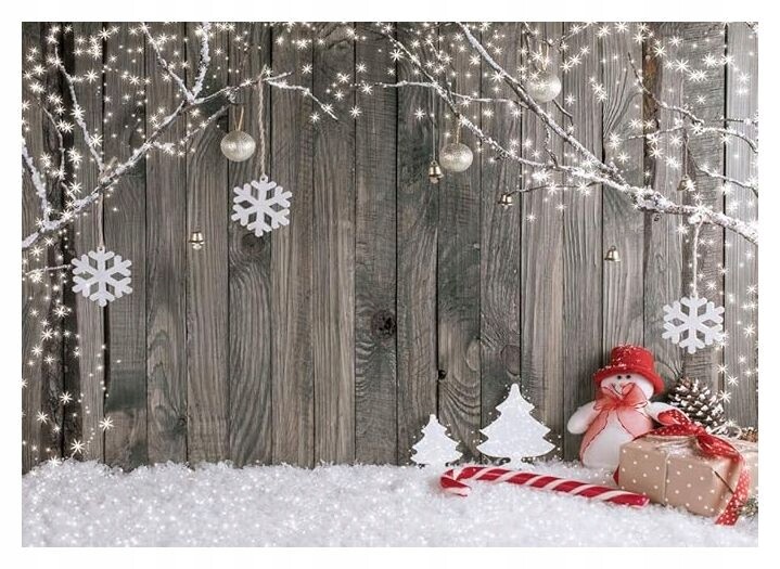 Vánoční fotografické pozadí 210 x 150 cm Zimní scenérie s lampičkami CP-70