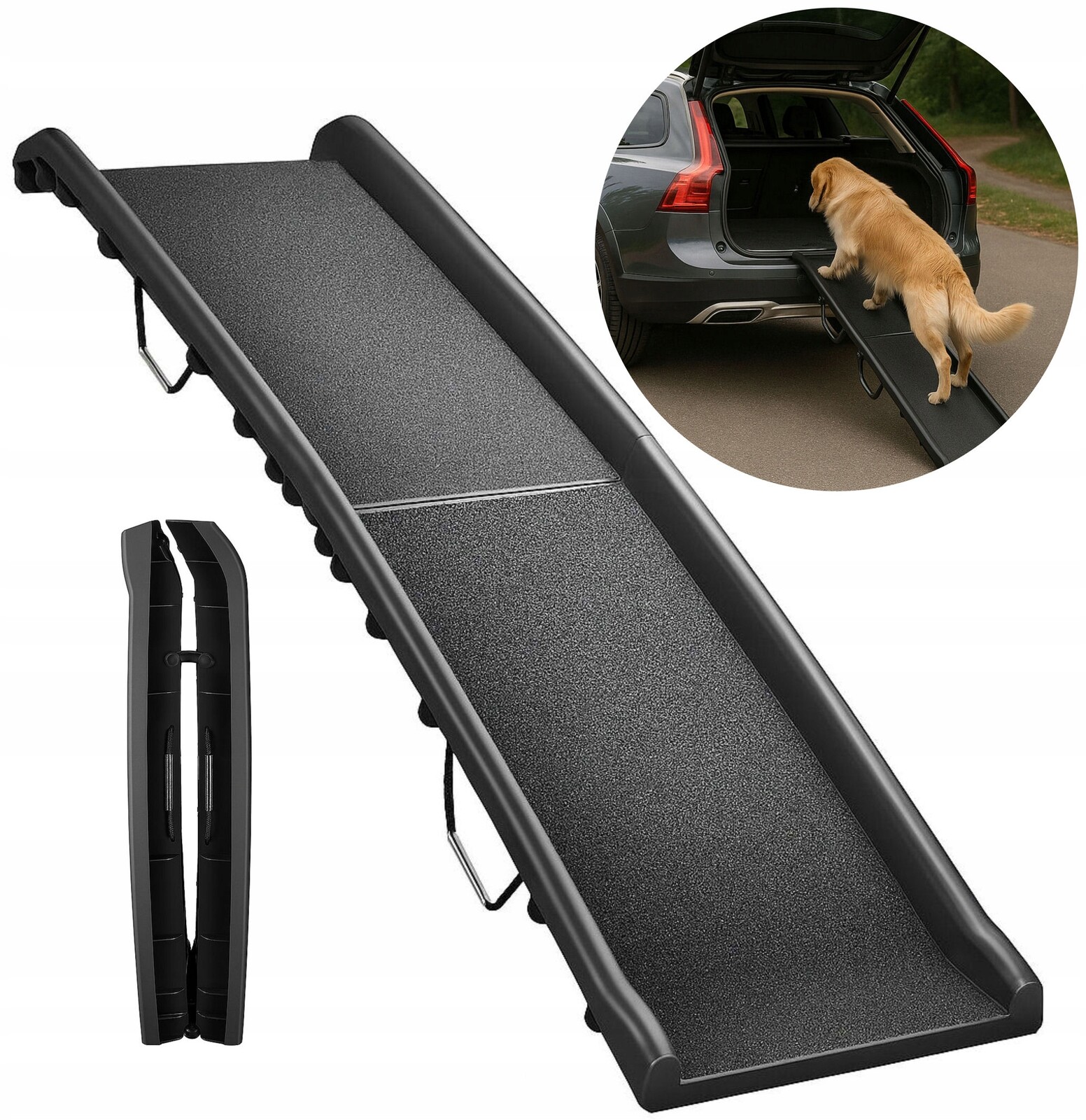 Plošina Rampa Pro Psy, Zvířata, Autoschody