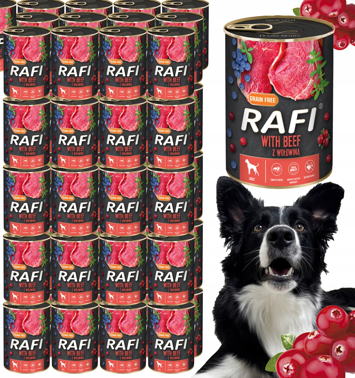 Krmivo pro psy s hovězím masem Borůvka Brusinky Dolina Noteci Rafi 400g 48 ks