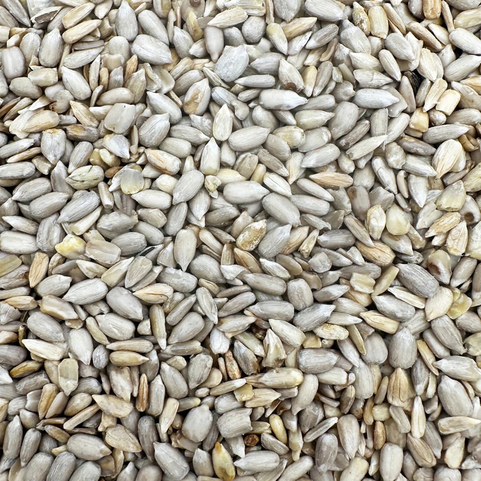 Slunečnicová Semínka Loupaná 99% zrno na zimu krmivo pro ptáky zimní 14 kg