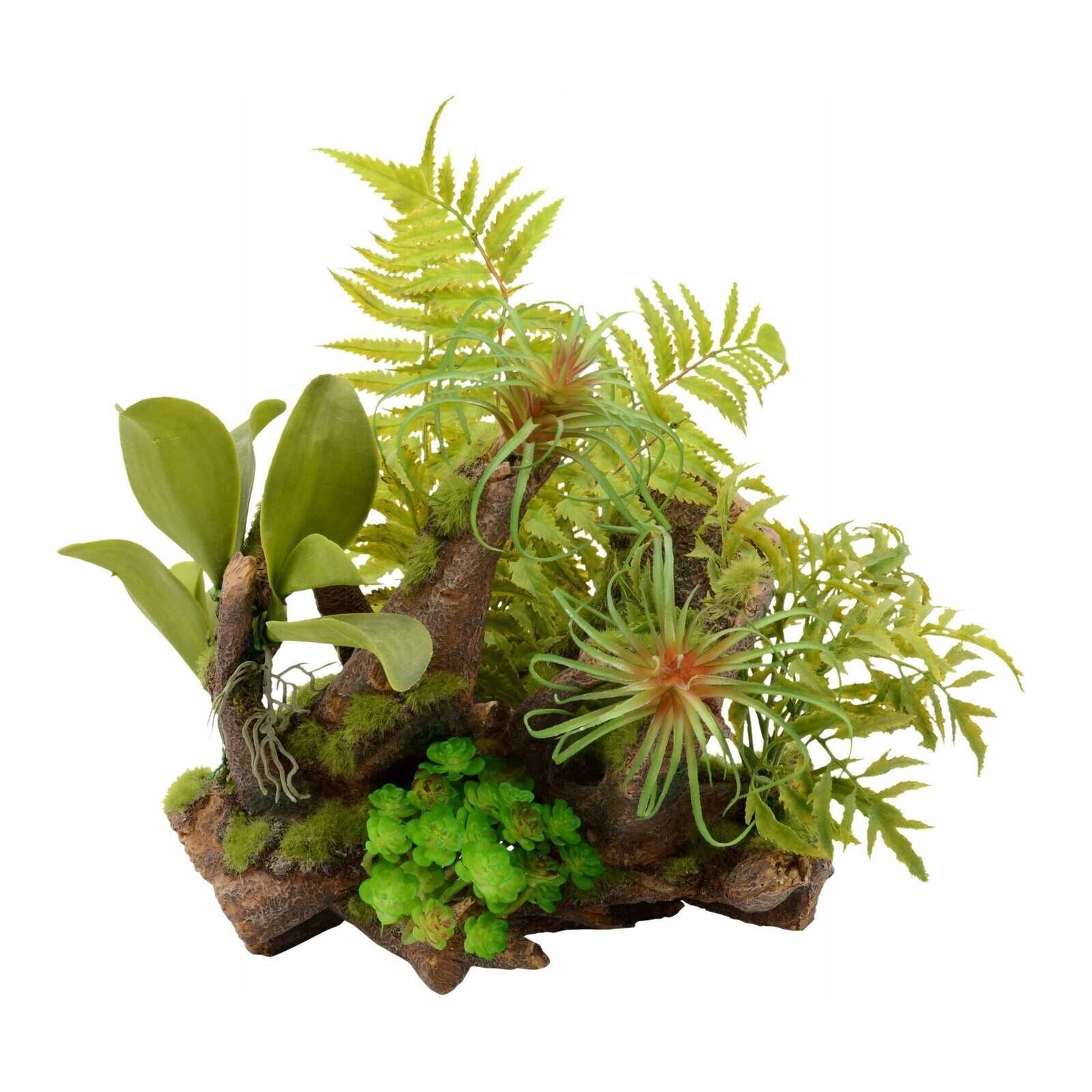 Terra Natura Terarijní rostlinná kompozice 36 cm