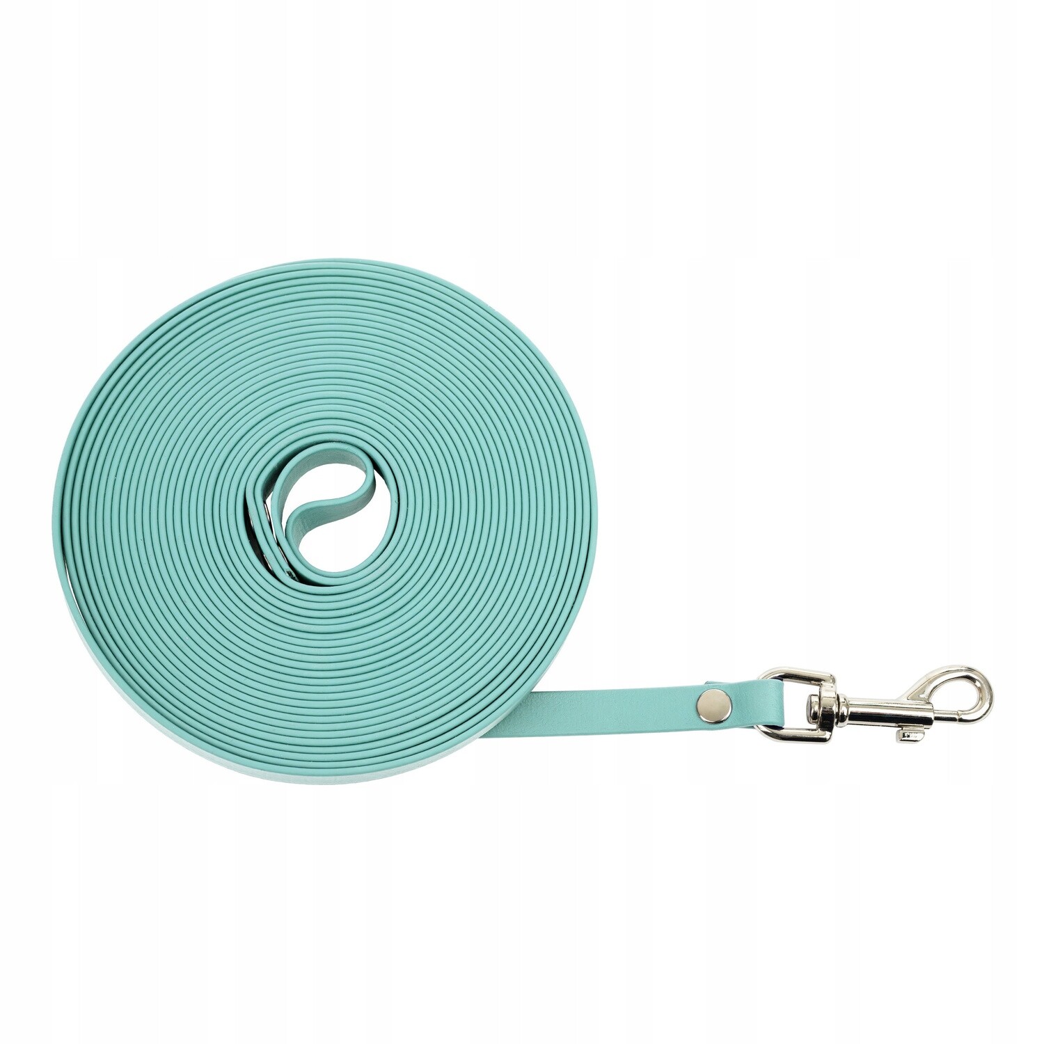 Treningové vodítko Biothan Americká 10 mm/10 m, mátová