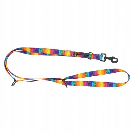 Vodítko s nastavitelnou páskou pro psa Duha, 25 mm/220 cm
