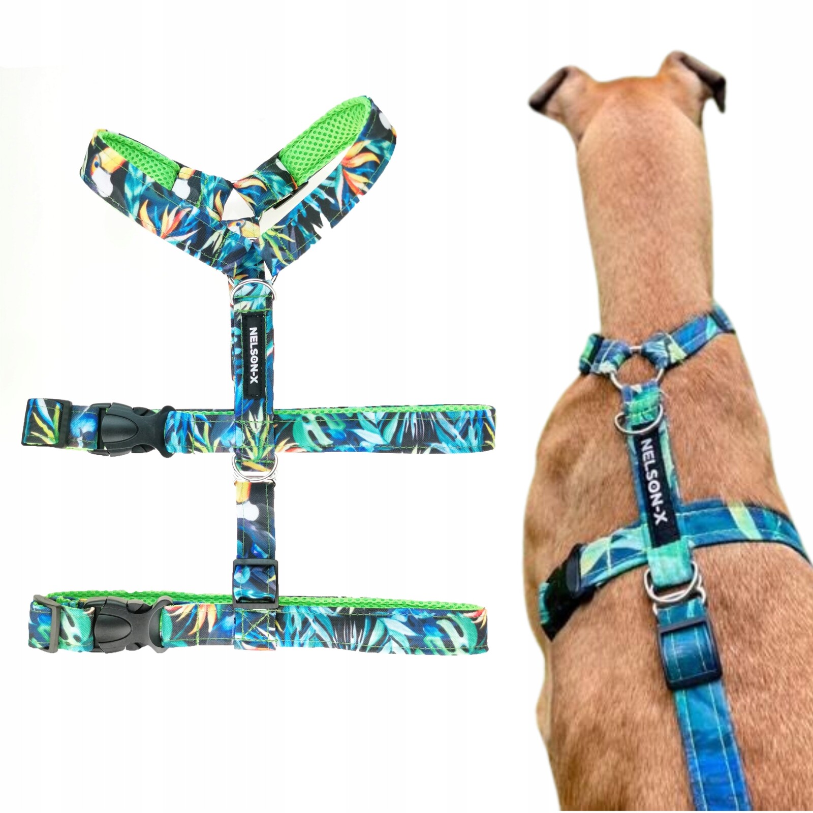 Postroj Pro Psy S Protiúnikovou Přívěsou Floral Nelson-x M Polský Výrobce