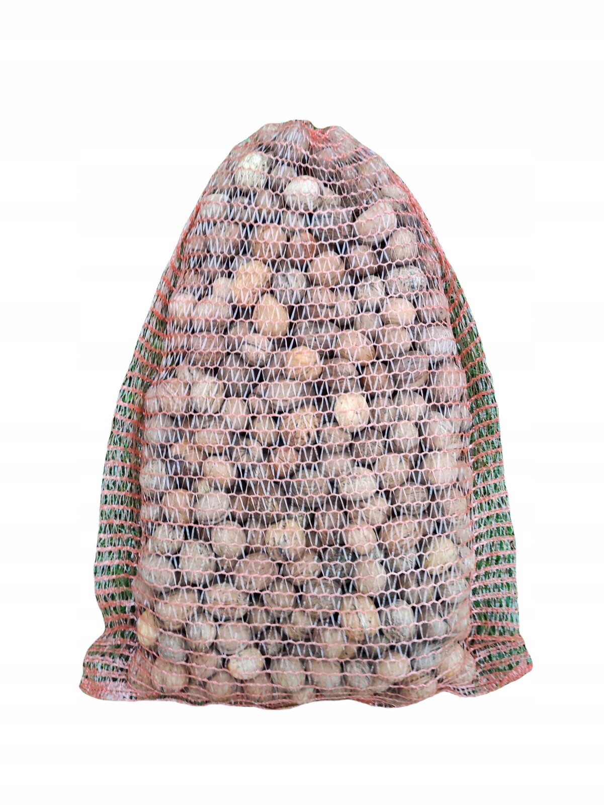 Vlašské Ořechy Ve Skořápce 2025 5 kg Italský