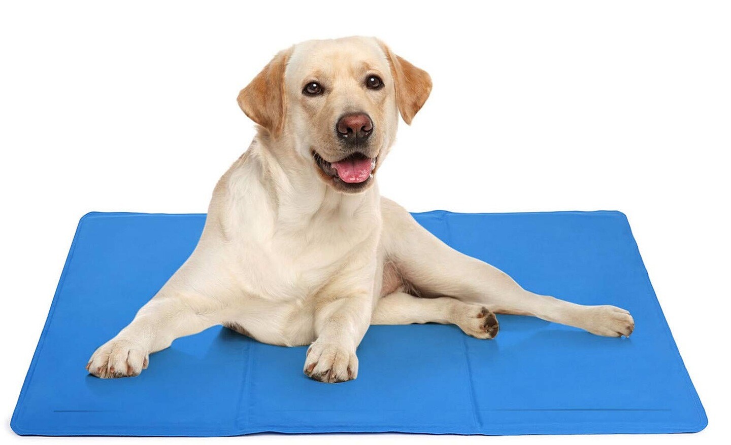 Chladící podložka Ownpets – pohodlí a chlad pro vašeho mazlíčka