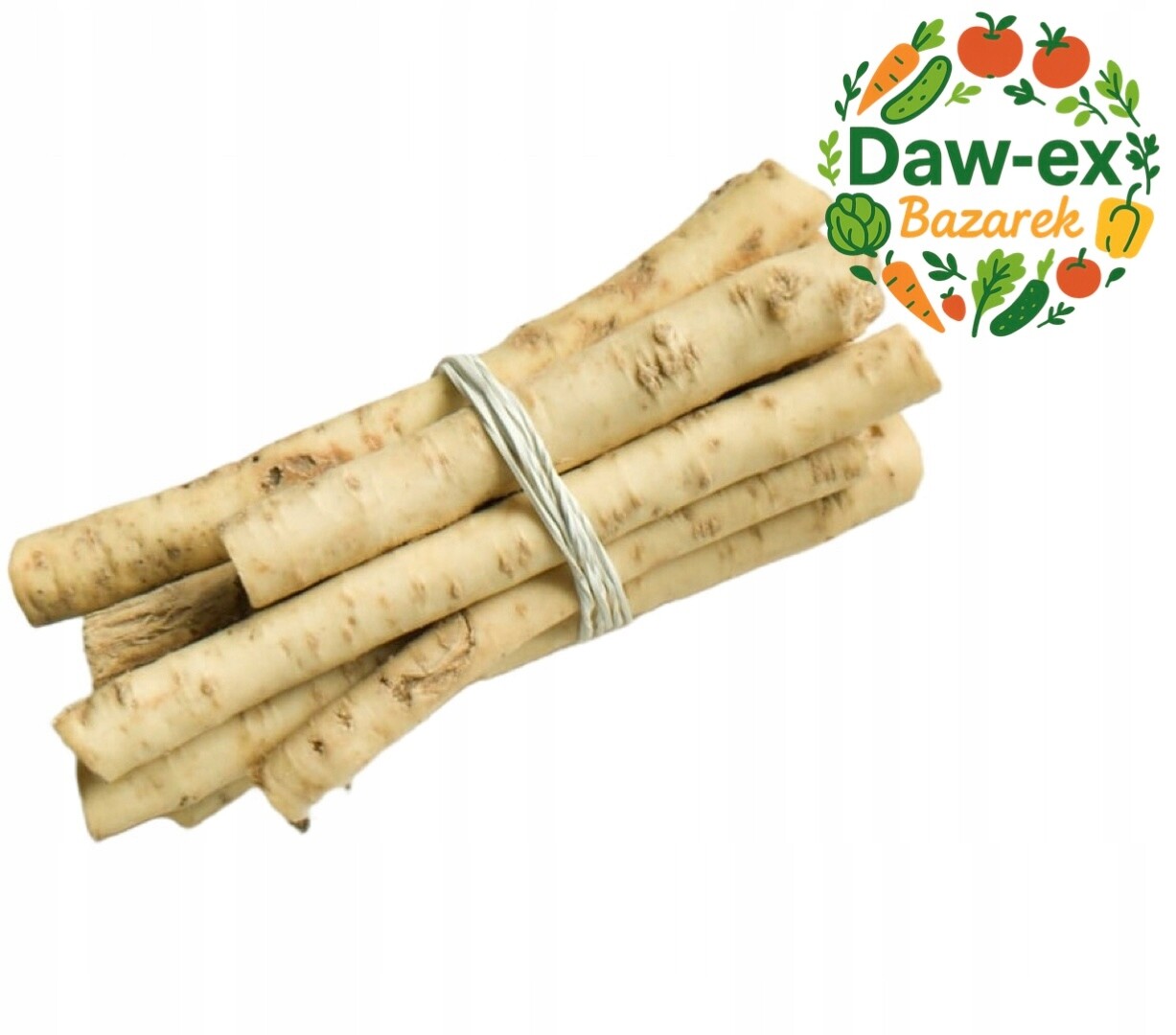 Čerstvý Kořen Křenu Křen K Nakládání A Strouhání 2025 Pl