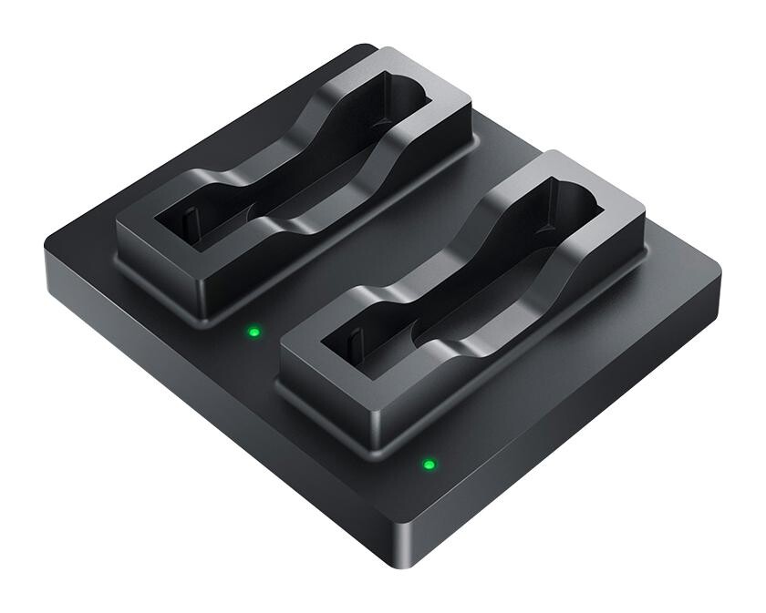 Rrc Power Solutions Rrc-Smb-Dbc Standard Battery Charger, 240Vac