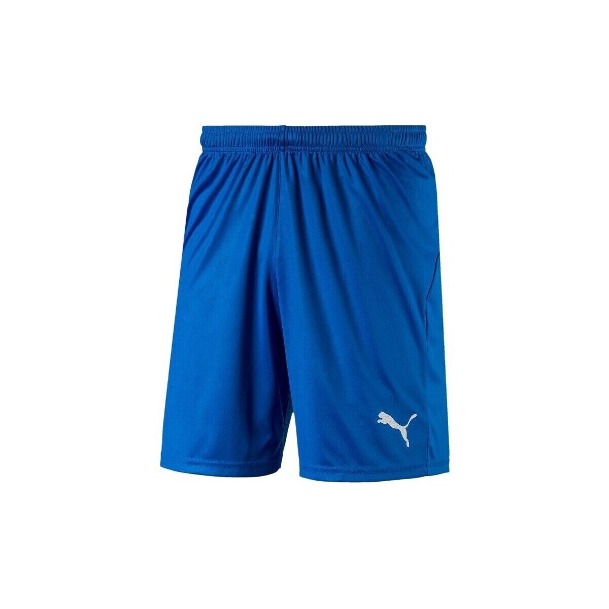 Puma  Liga Shorts Core  ruznobarevne