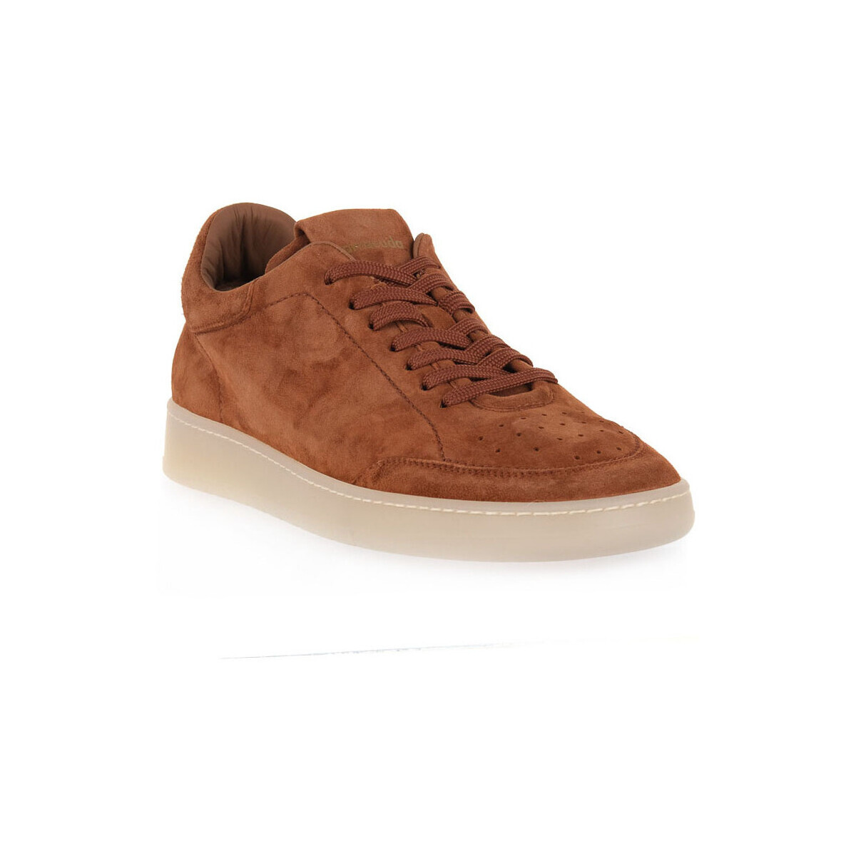 Barracuda  CVG 815  Bílá