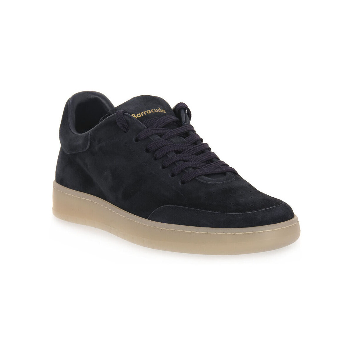 Barracuda  602  Modrá