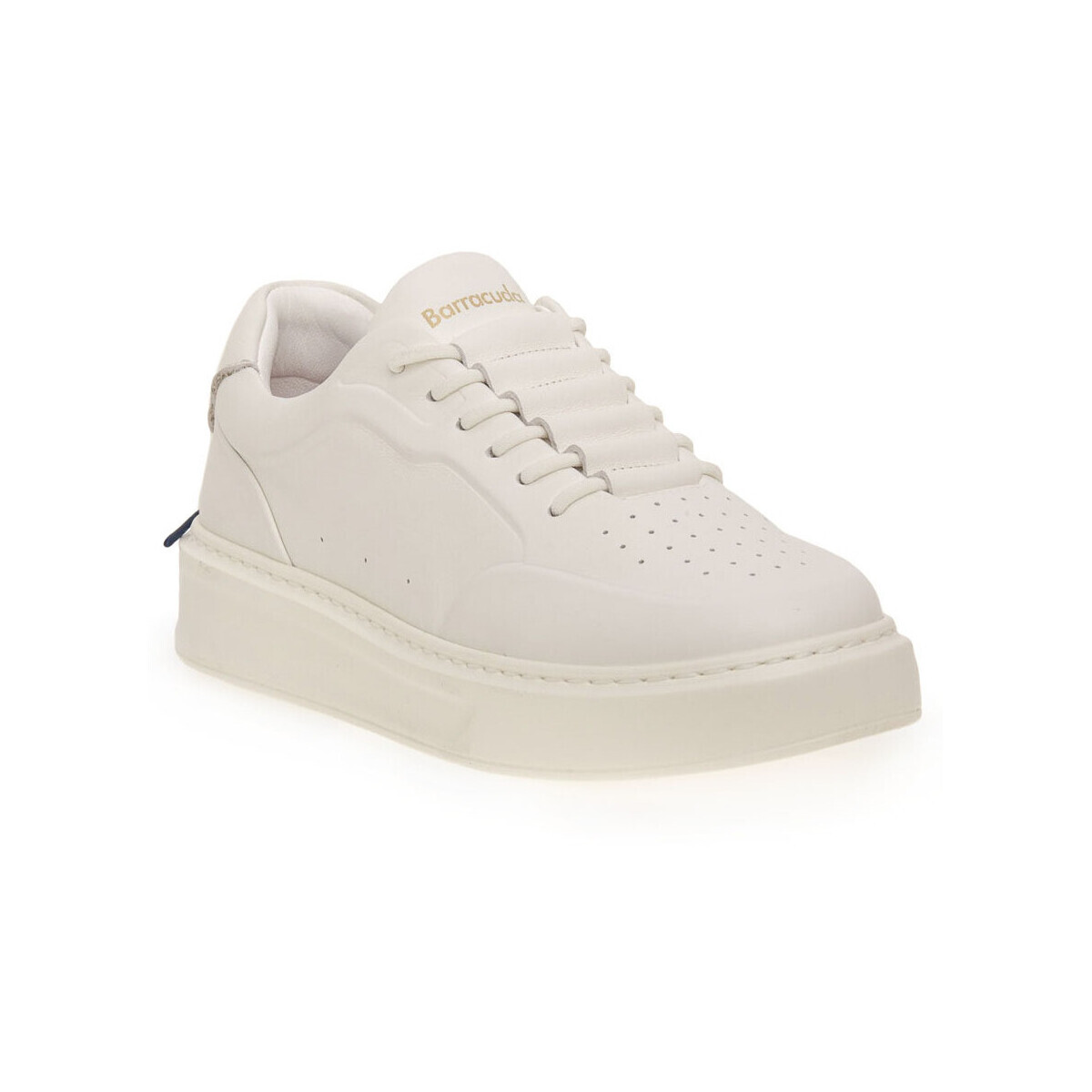 Barracuda  PHOENIX  Bílá