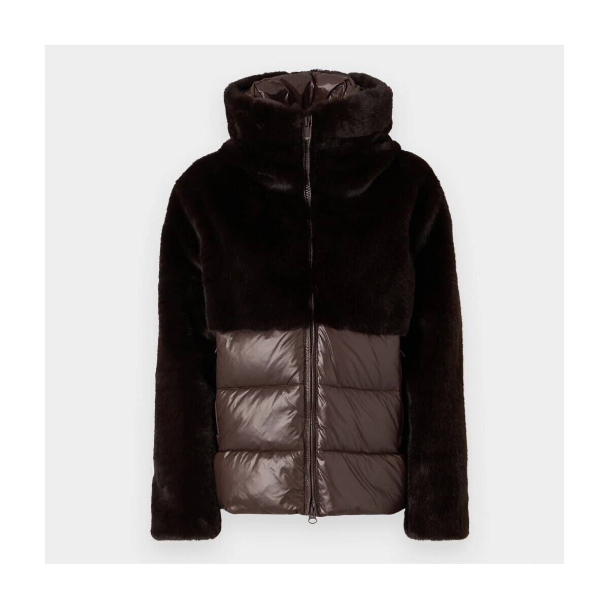 Blauer  FANEVIL  Hnědá