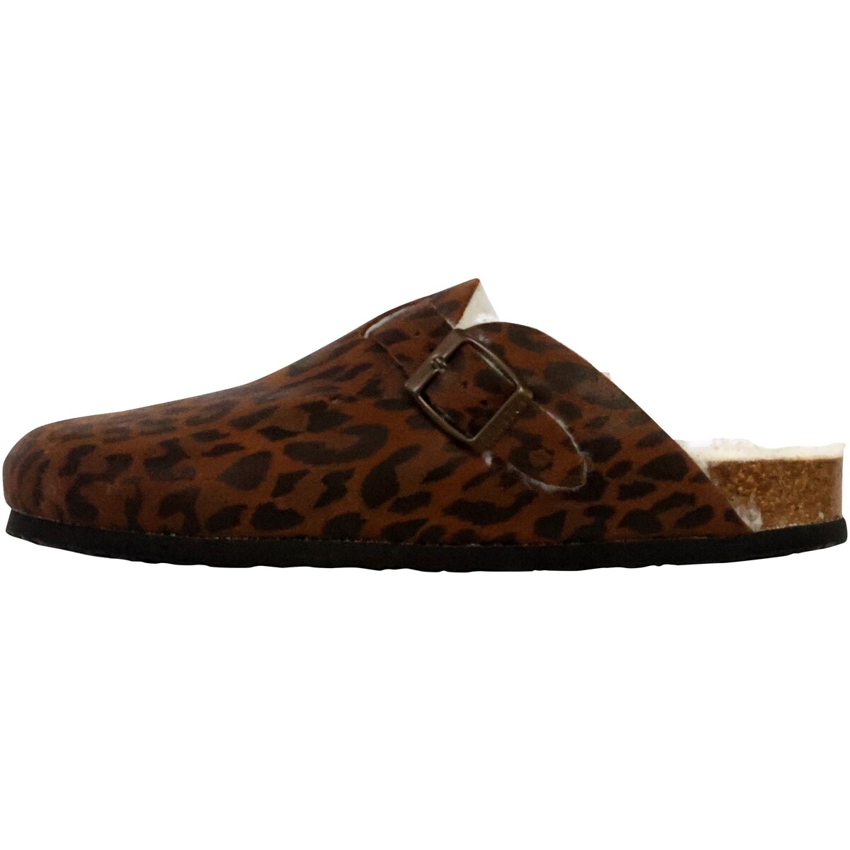 Plakton  269835  ruznobarevne