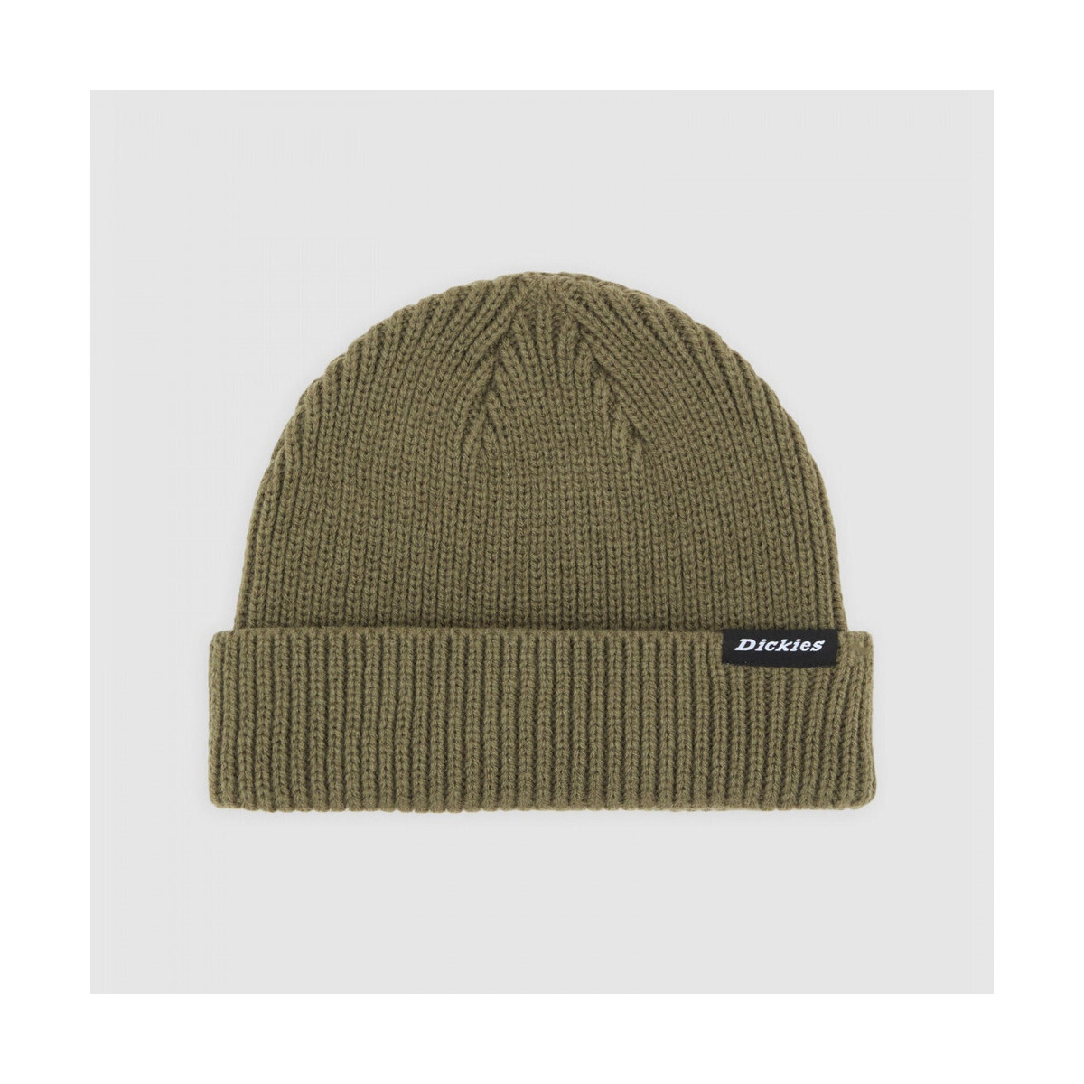 Dickies  Woodworth beanie  Zelená