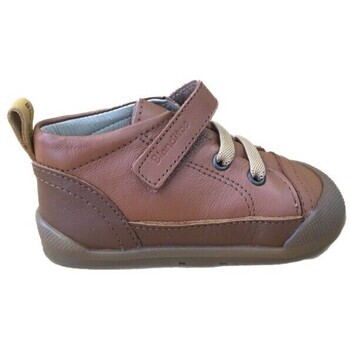 Blanditos  Blanditos de Crío's  LUIGI Cuero  Hnědá