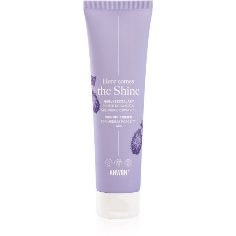 Anwen Here Comes The Shine Shining Primer For Medium Porosity Hair podkladová báze na vlasy 100 ml