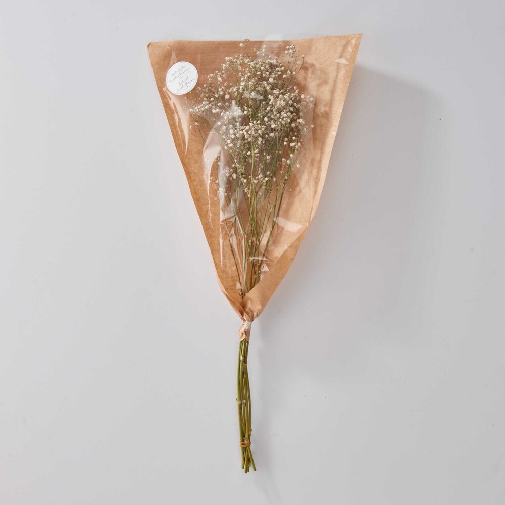 FLOWER MARKET Nevěstin závoj sušený - bílá