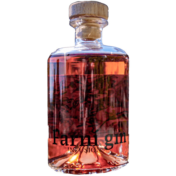 Gin Farní Infusion 0,5l 43%