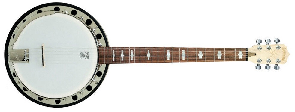 Deering Goodtime Six Resonator