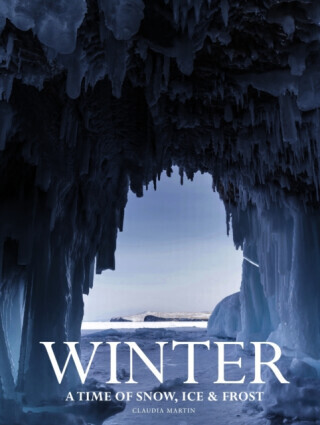 Winter - Claudia Martin