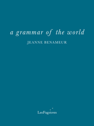 a grammar of the world - Jeanne Benameur
