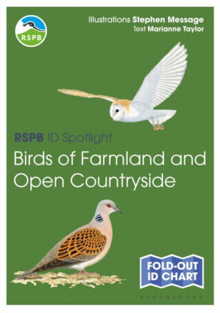 RSPB ID Spotlight - Birds of Farmland and Open Countryside - Taylor Marianne
