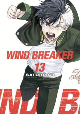 WIND BREAKER 13 - Satoru Nii