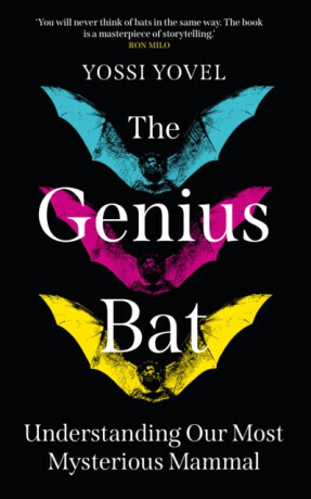 The Genius Bat - Yovel Yossi