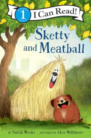 Sketty and Meatball - Sarah Weeks