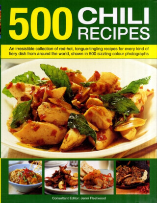 500 Chili Recipes - Jenni Fleetwood