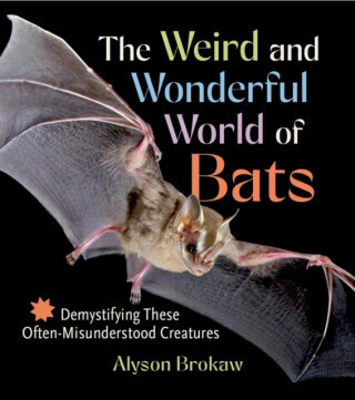 The Weird and Wonderful World of Bats - Alyson Brokaw