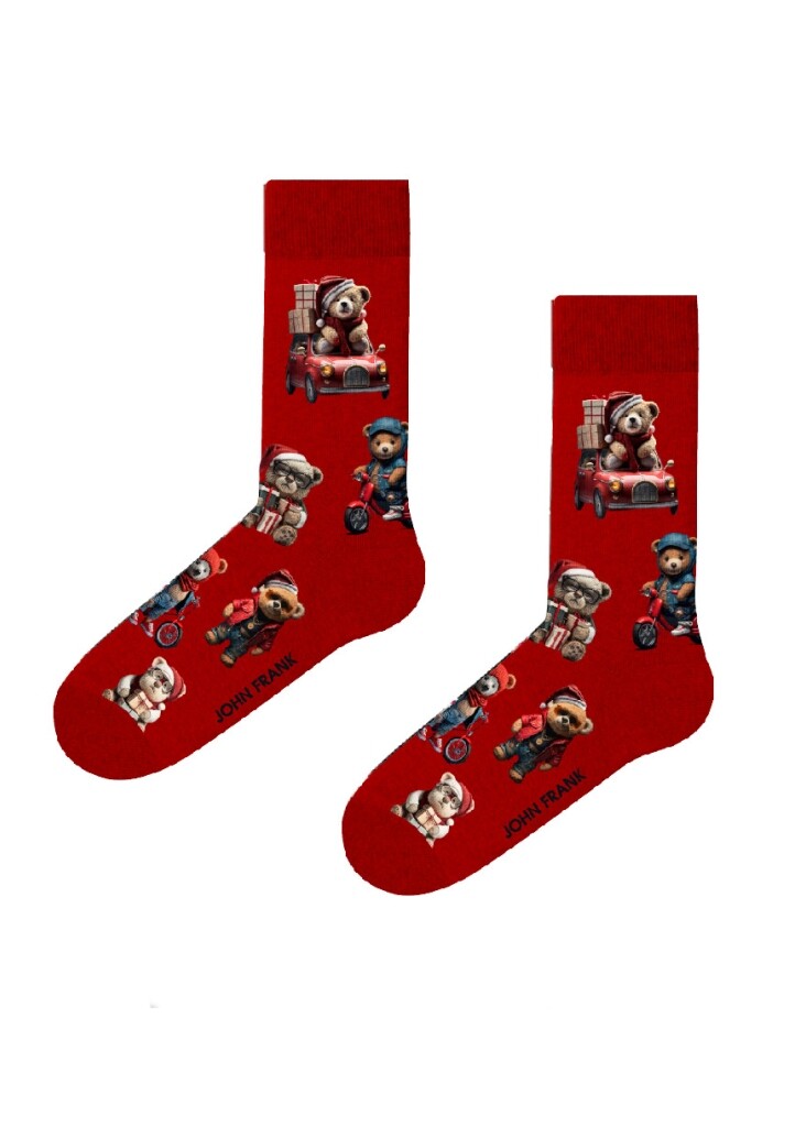 Dámské ponožky John Frank WJFLSFUN-CH50