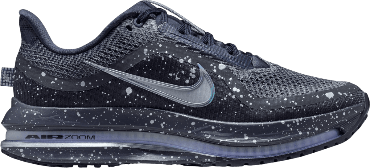 Běžecké boty Nike Pegasus Premium SE