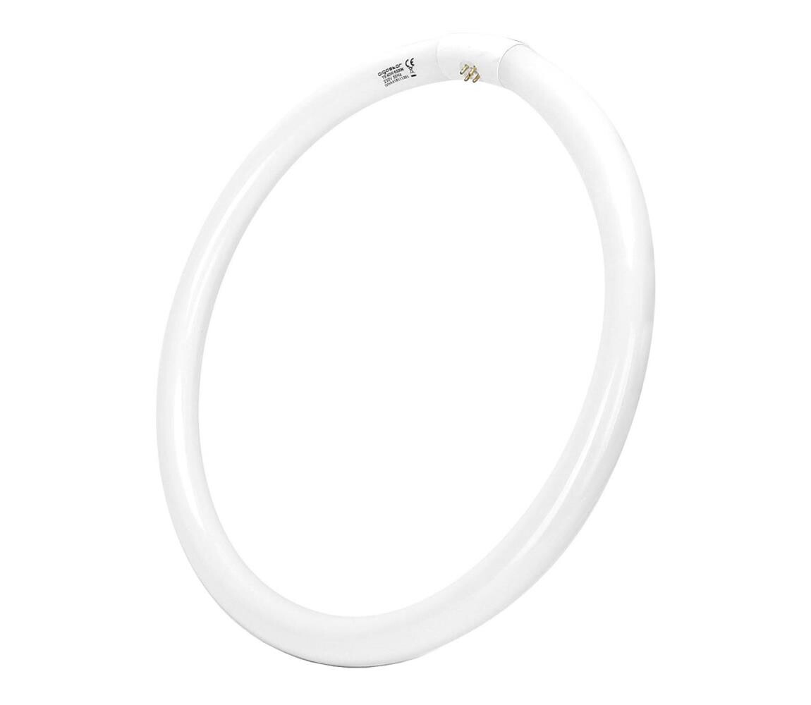 B.V. Zářivková trubice T9 G24q-1/40W/230V 6500K -  B10104JVH