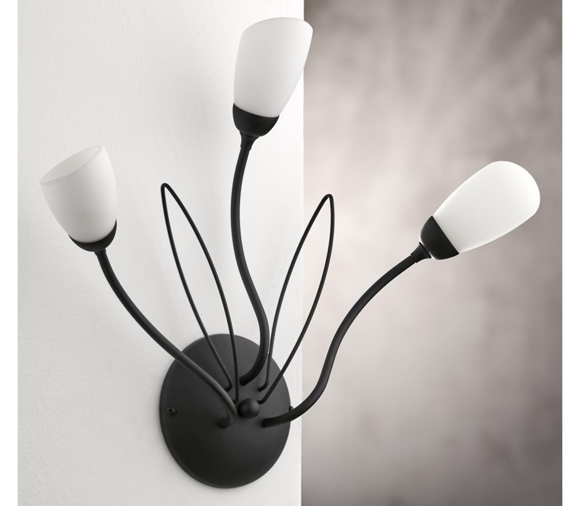 Jupiter 2059 - Nástěnné svítidlo GLORIOSA 3xG9/14W/230V černá 2059