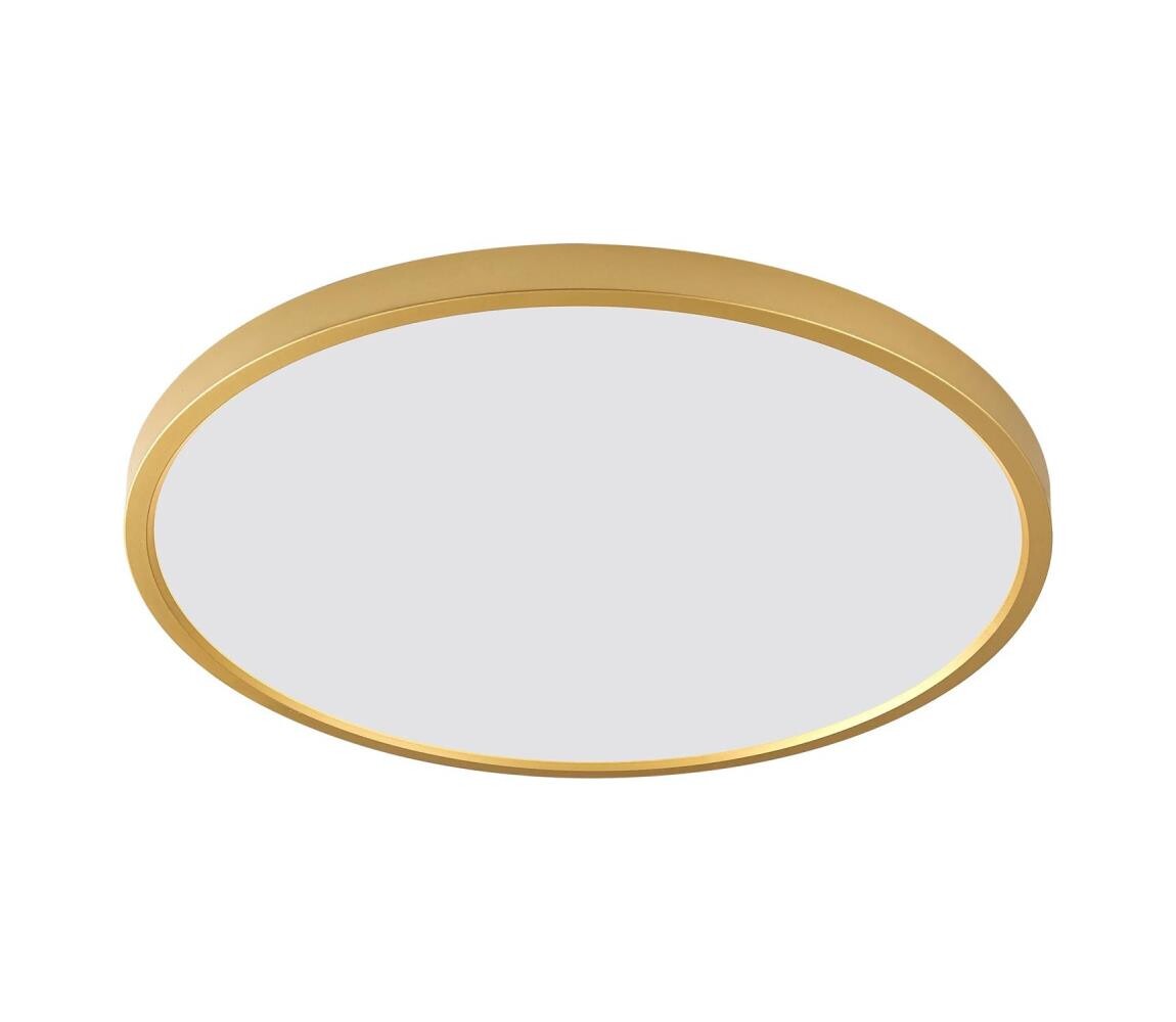 Zuma Line WM-BP1108-S-G - LED Stropní svítidlo CAMI LED/36W/230V pr. 40 cm zlatá WM-BP1108-S-G