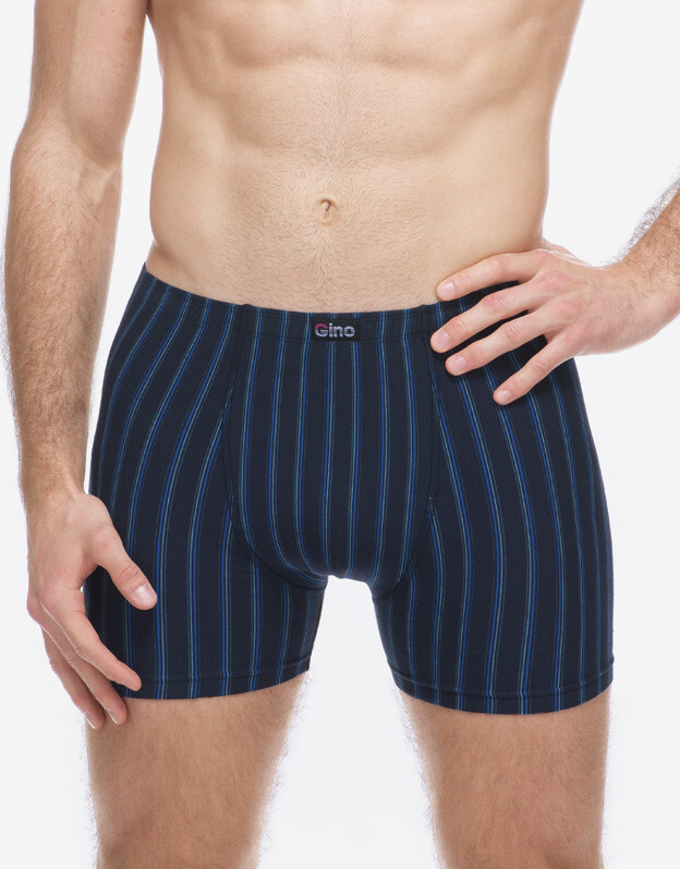 Pánské boxerky Gino vícebarevné (74178-DCMMBM) XL, trenky / trenýrky