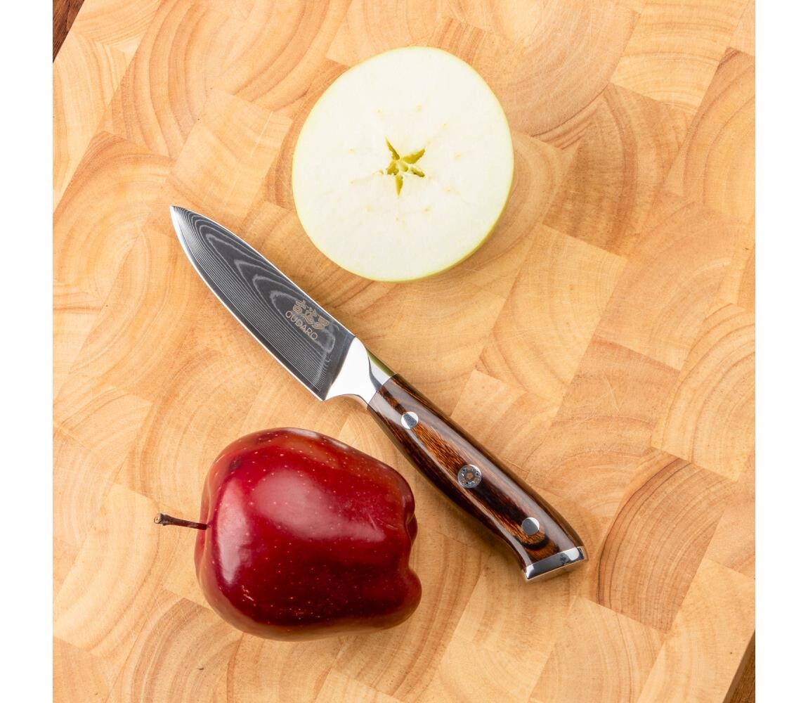 Gudaro - Kuchyňský nůž PARING 9,5 cm damašková ocel GD15-H3